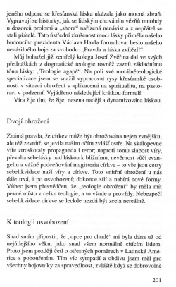 V zápasech za Boží věc / TEXTY / Dialog dvou teologií / strana 201